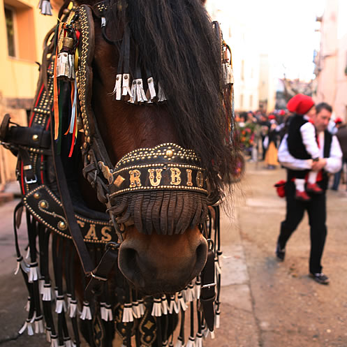 Moralles i collar guarnit d'un matxo