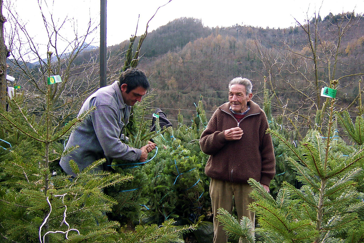 Parada de venda d'avets