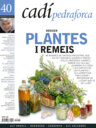 Dossier: Plantes i remeis