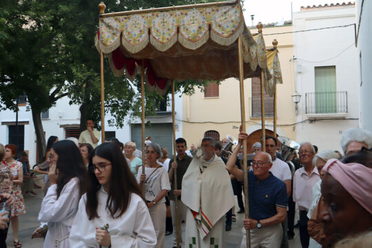 La custòdia sota pal·li