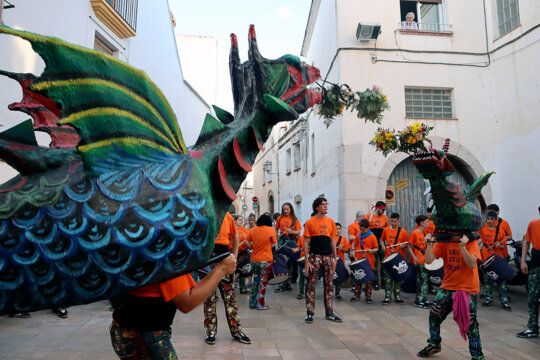En Tigre i en Barrina