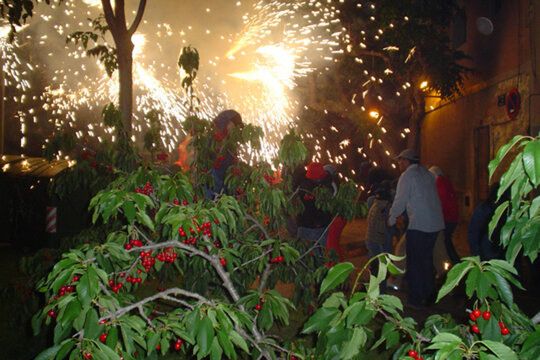 Correfoc cirerer