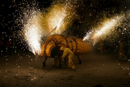 La fil·loxera, peça del bestiari