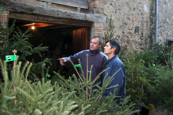 Galeria principal