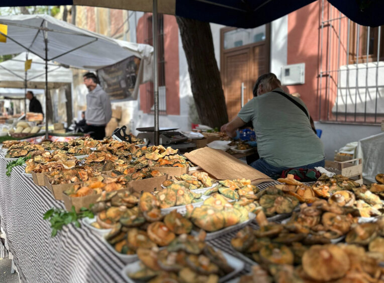 Fira del bolet i la Natura de Vilassar de Dalt