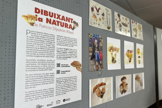 Exposició