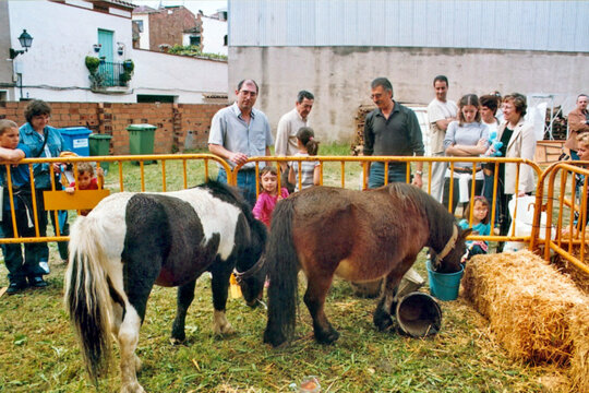 Mostra ramadera