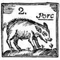 El porc